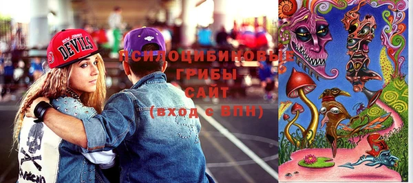 ГАЛЛЮЦИНОГЕННЫЕ ГРИБЫ Арсеньев