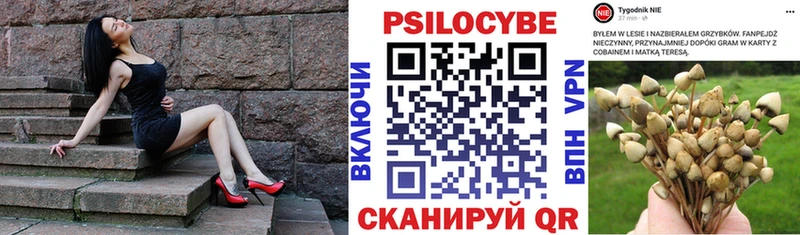 Галлюциногенные грибы Psilocybine cubensis  купить   Белинский 